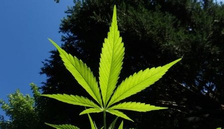New Hampshire governor signs marijuana decriminalization bill